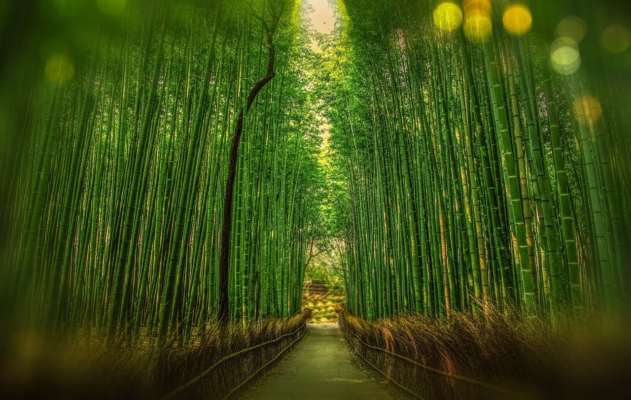 地球第一大河，跨越时空的世界之最