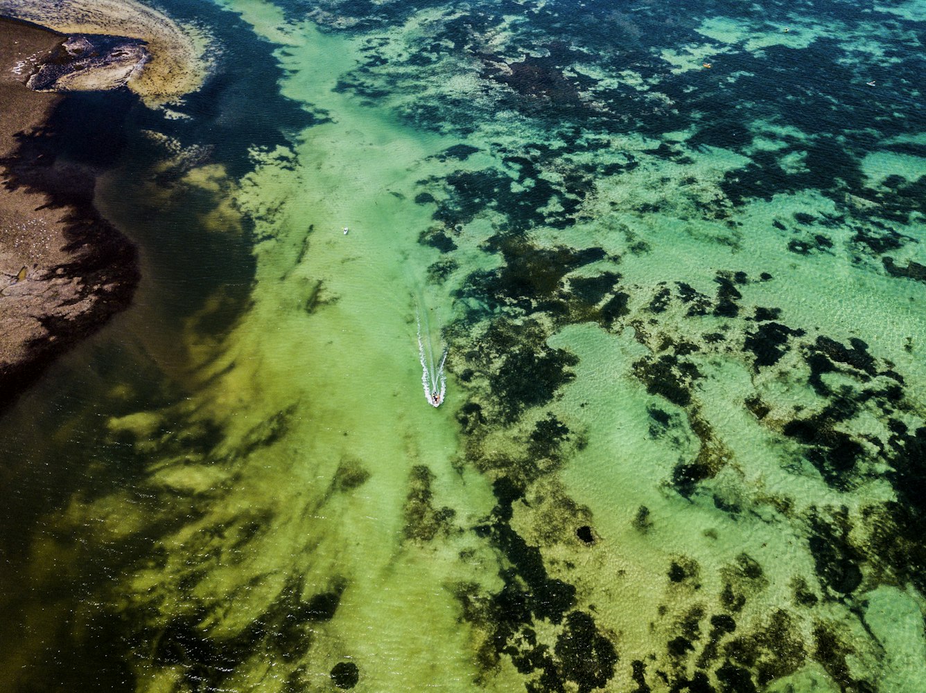 探秘全球十大珊瑚礁，海洋中的热带雨林与生命瑰宝